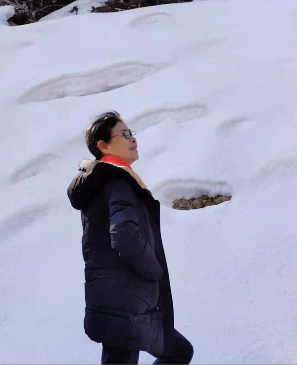 点击将在新窗口查看全图